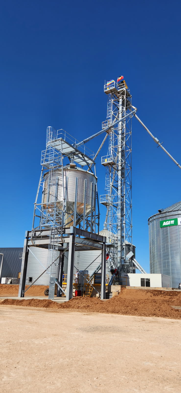 IMG_20251031_152622-grain